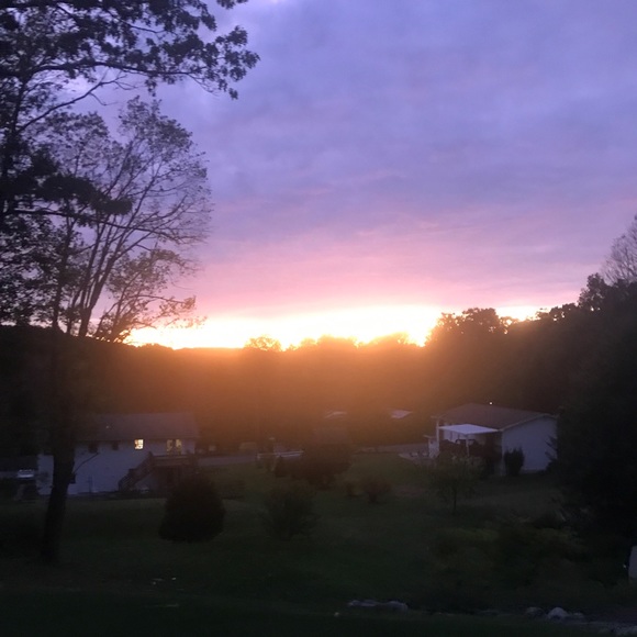 Meet your Posher, Wendy - Picture 2 of 2